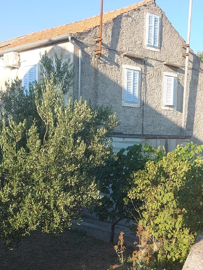 Holiday Home Pepe Banj エクステリア 写真