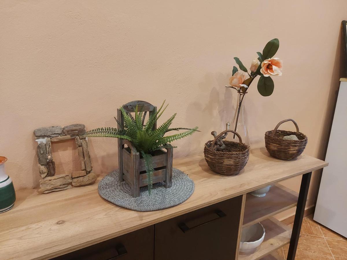 Holiday Home Pepe Banj エクステリア 写真